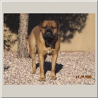 Kenoa and Clints from Larry Coldwater Payton 14mths1008.jpg